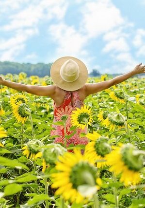 femme de dos bras embrassant un champ de tournesol